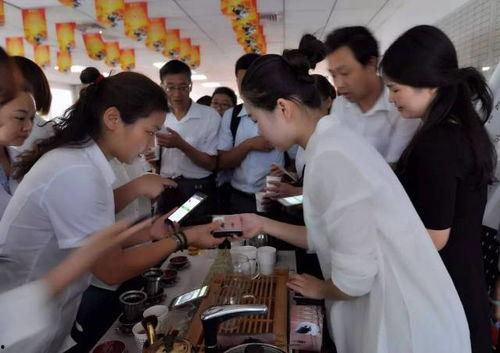 茶说新闻爆料,揭秘茶界最新动态，带你领略茶文化魅力